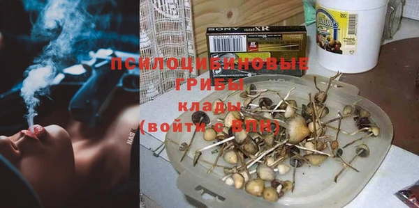 тгк Алексин