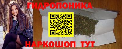 мяу мяу мука Нарткала